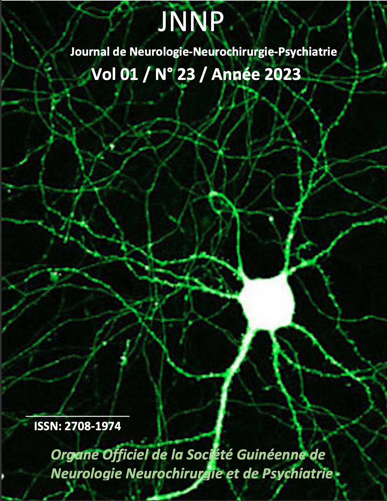 					Afficher Vol. 1 No 23 (2023): Journal neurologie neurochirurgie psychiatrie N 23
				
